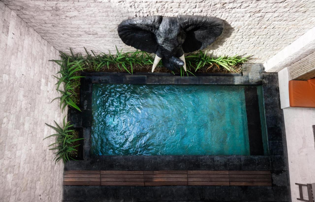 Vila Colibry Sanur Exteriér fotografie